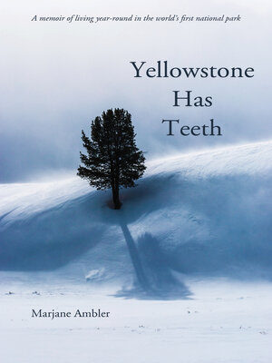 cover image of Yellowstone Has Teeth